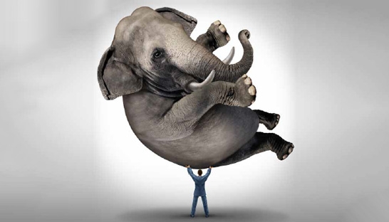 Operational analytics offers large value, yet maturity still is low